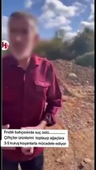 İki çanta dolusu fındık alıp gidiyorlardı! Üreticiye yakalanıp 'şu kadar para bıraktık' deyince ortalık karıştı