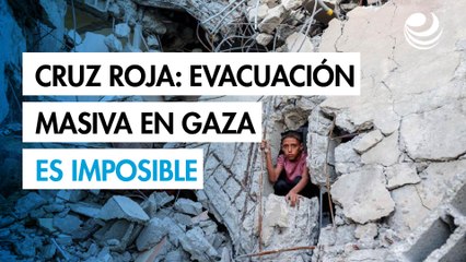 Cruz Roja afirma que la evacuación masiva de Ciudad de Gaza es imposible