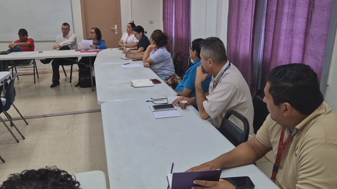 Virus de manos, pies y boca: Epidemiólogos y autoridades educativas en Veraguas analizan protocolos para controlar propagación