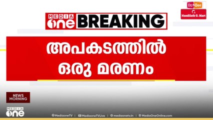 കാർ നിയന്ത്രണം വിട്ട് ഹൈവേയിലെ തൂണിൽ ഇടിച്ച് അപകടം; ഒരാൾ മരിച്ചു