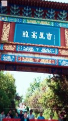 Grounded Shines Better Full Chinese Drama