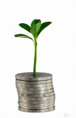 "De una semilla nace un sueño: inversión, esfuerzo y visión que crecen juntos. 🌿💰 #Emprendimiento #Crecimiento #Inspiración"