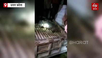 बाढ़ से बेहाल यूपी: फर्रुखाबाद के 160 गांव डूबे, गंगा-रामगंगा उफान पर, फसलें बर्बाद, बहराइच में बाढ़-बारिश के चलते सड़क पर घूम रहा मगरमच्छ