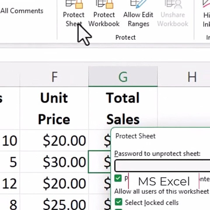 MS Excel Protecting and Unprotecting worksheets