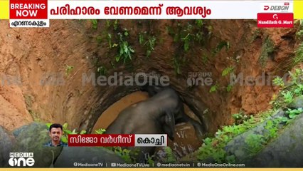 കാട്ടാന കിണറ്റിൽ വീണു; എറണാകുളം കോതമംഗലത്താണ് സംഭവം