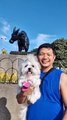 🔴 SUNDAY MORNING WALK AT LUNETA RIZAL PARK #shihtzu