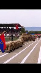 _Turkey_s_Military_Power__Classical_Force_Meets_Modern_Magic_#turkishmilitary_#turkisharmy_#skills(360p)