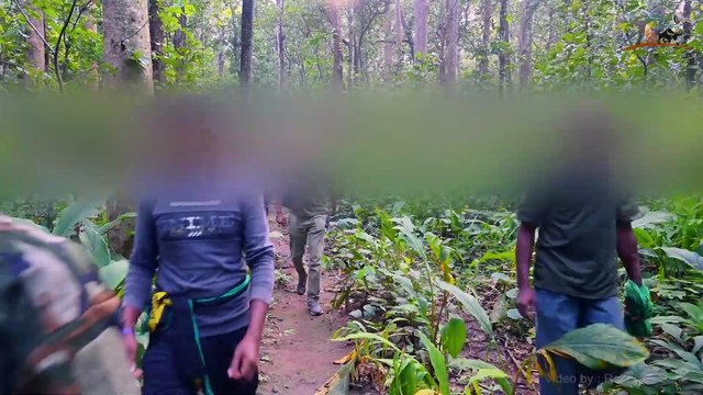 Anti Poaching Operation _ The Surgical Strikes on Poachers (Udanti Sitanadi Tiger Reserve)