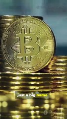 Why Big Crypto Coins Protect You in Wild Markets!