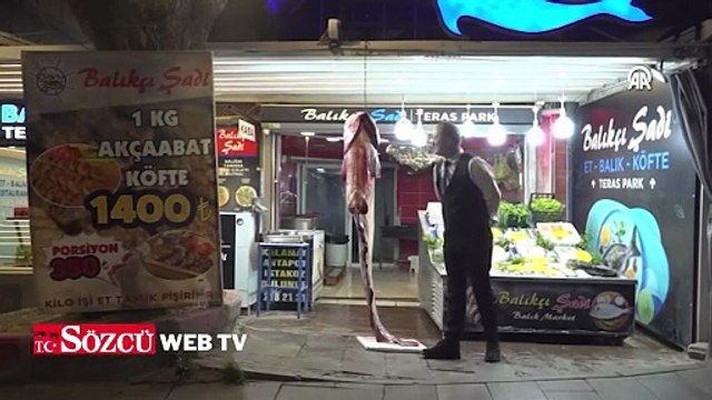 2 metre 20 santimetre uzunluğunda yayın balığı yakalandı