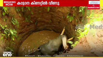 'DFO വീട്ടുടമയ്ക്ക് നഷ്ടപരിഹാരമായി ഒരു ലക്ഷം രൂപ നൽകുമെന്ന ഉറപ്പിൽ വിശ്വാസമില്ല'- ആൻ്റണി ജോൺ എംഎൽഎ