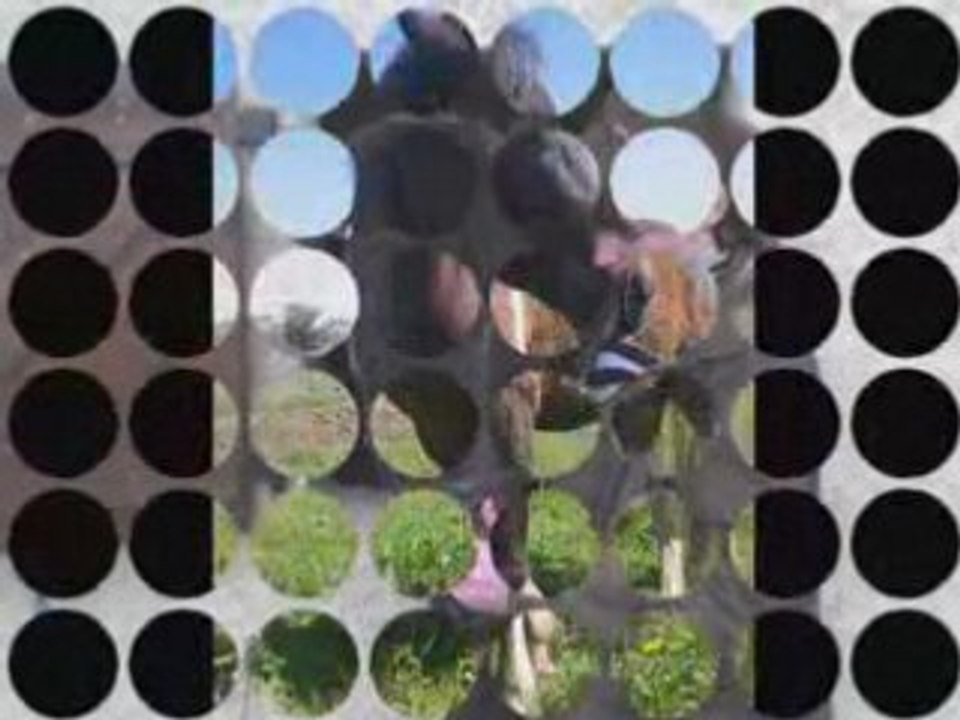 74_0001