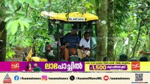 കോതമം​ഗലത്ത് കിണറ്റിൽ വീണ കാട്ടാനയെ കരകയറ്റാനായില്ല; വന്യമൃഗശല്യത്തിൽ പ്രതിഷേധവുമായി നാട്ടുകാർ