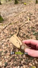 Fendre une buche au couteau suisse