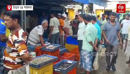 ট্রাম্পের শুল্ক-খাঁড়ায় সংকটে বসিরহাটের চিংড়ি ব্যবসা, বিপাকে কয়েক লক্ষ শ্রমিক