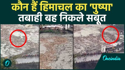 Chamba Ravi River: हिमाचल को किसने किया बर्बाद, बाढ़ में बह निकले सबूत | वनइंडिया हिंदी