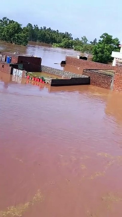 Flood in Daburji Chanda Singh Sialkot | Flood in Punjab | Flood in Pakistan