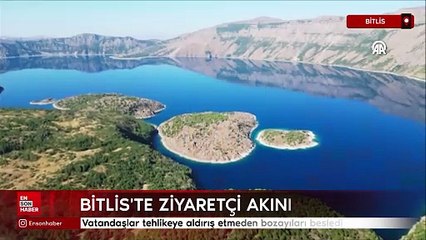 Nemrut Kalderası'na giden ziyaretçiler tehlikeye aldırış etmeden bozayıları besledi