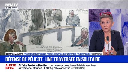 Affaire des viols de Mazan: "Je ne me suis pas positionnée en tant que femme dans la défense de Dominique Pélicot", assure Me Béatrice Zavarro, avocate