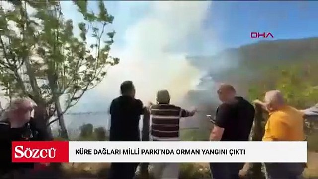 Küre Dağları Milli Parkı'nda orman yangını çıktı