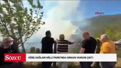 Küre Dağları Milli Parkı'nda orman yangını çıktı