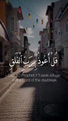 "Quran – Har Dil Ke Liye Hidayat ❤️📖 | Zikr e Qalb"