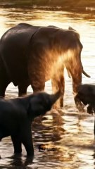 Wait Until The End! 😱 2#P11