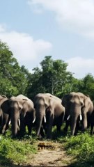 No One Was Ready For This! 😳 2#P19