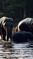 Why Did This Happen? 🤔 2#P18