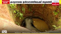 കോതമംഗലത്ത് കിണറ്റിൽ വീണ കാട്ടാനയെ രക്ഷപെടുത്തി ഉൾവനത്തിലേക്ക് തുരത്തി