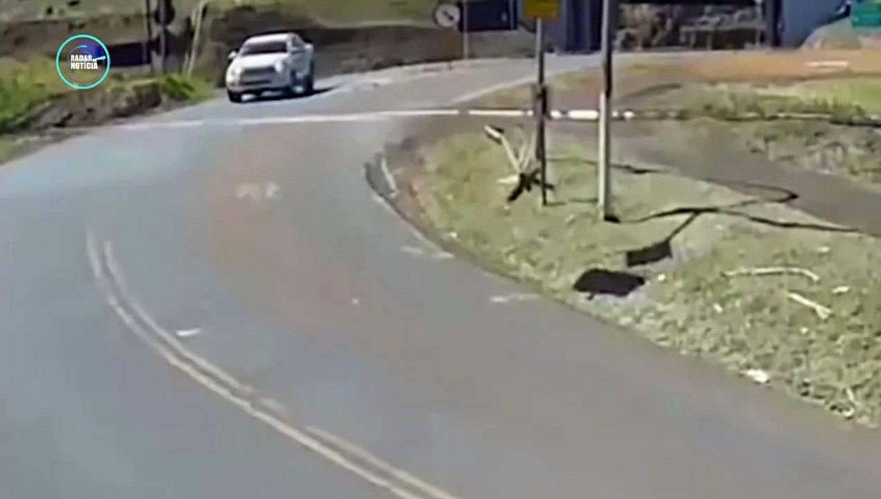 Câmera flagra colisão entre caminhonete e trem em Jandaia do Sul
