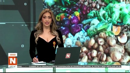 PRECIO ELEVADO DE CARNES Y VERDURAS