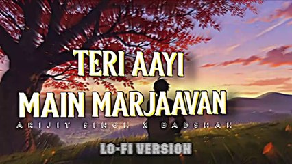 Teri aayi main marjaavan lofi reverb Version new trending song hindi