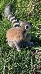 You have a good time discovering funny news