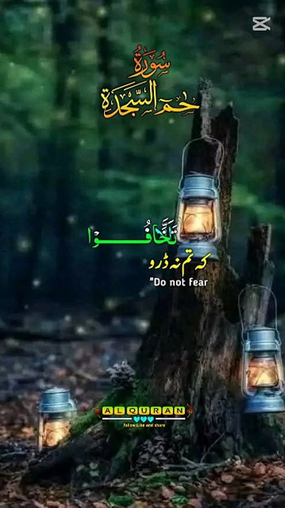 Emotional & Beautiful Quran Recitation | Heart Soothing Tilawat #QuranRecitation #Tilawat #IslamicShorts #PeacefulQuran #HeartTouching