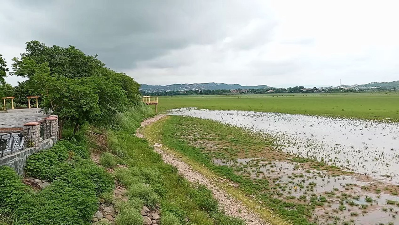 Flood Is Coming