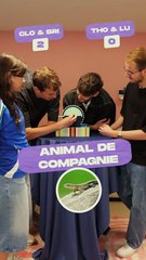 On est trop complices