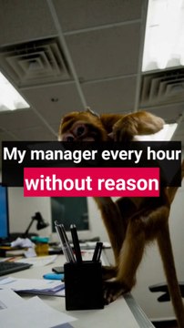 My manager every hour without reason. -#joke #meme #jokes #memes #funny #desijoke #jokeoftheday #desimeme #memesdaily #memepage #news #breakingnews #newsupdate #newstyle #india #haha #funnymemes #viral #viralreels #ootd #food