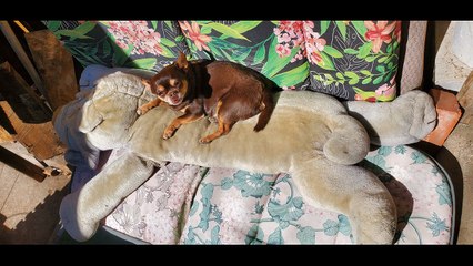 Daily Motion 2 for Twosday hour 1