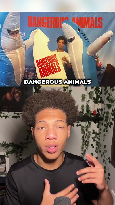 Mon avis sur Dangerous Animals ‼️🦈