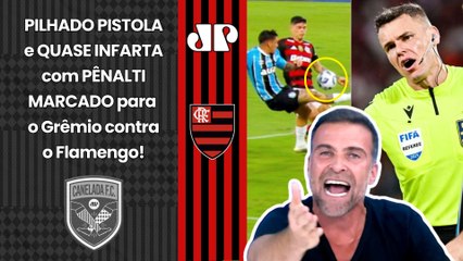PILHADO SURTOU!!! "É UM ESCÂNDALO!!! INVENTARAM um PÊNALTI pro Grêmio! O Flamengo foi PREJUDICADO!"