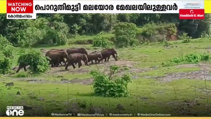 വന്യമൃഗ ശല്യം രൂക്ഷം; കോതമംഗലത്തെ വനാതിർത്തി ഗ്രാമങ്ങളിലെ ജനജീവിതം കൂടുതൽ ദുസ്സഹം