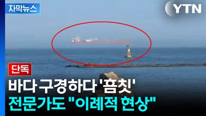 [자막뉴스] "이야, 진짜 신기해"...바다서 포착된 신비한 장면 / YTN