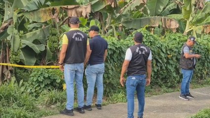 Hallan cuerpo en descomposición en finca de Changuinola; podría tratarse de una mujer