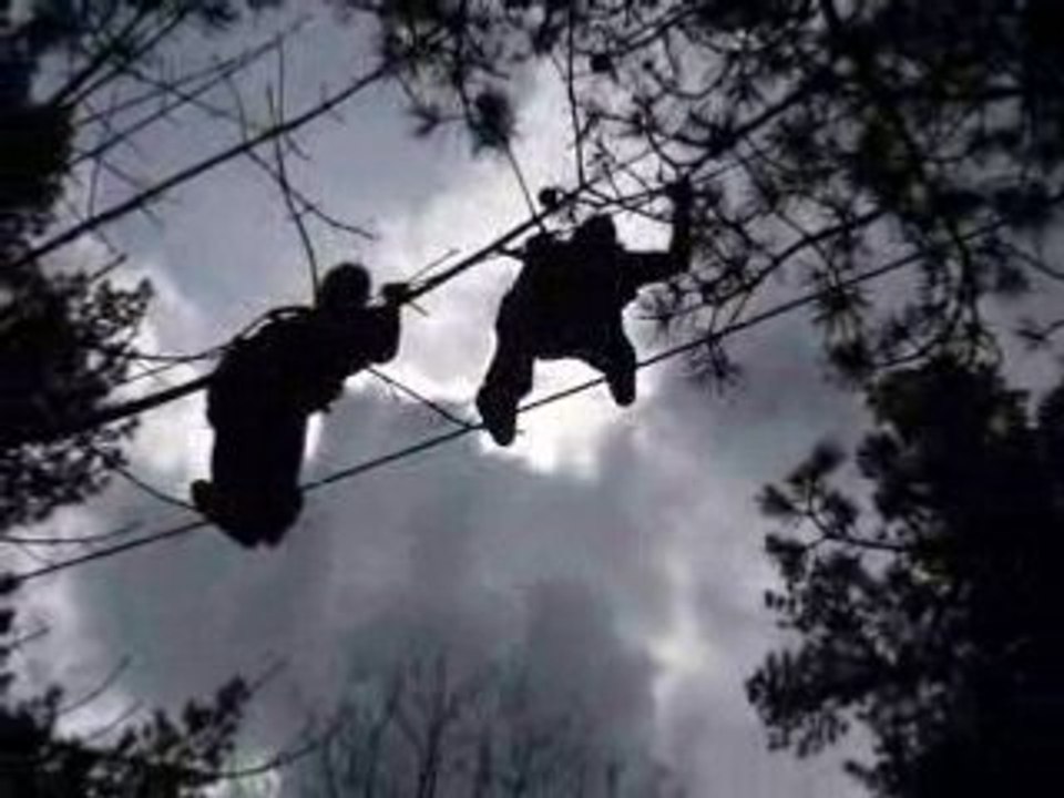 Aprem Acrobranches!!