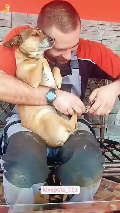 My dog is afraid of having its nails cut.#dog #dogs #dogsoftiktok #funny #foryou #funnyvideos #funny