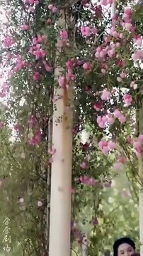 The Expiration Of Love (English Subtitles) | Full HD Movie Uncut 2025 | Hot Chinese Drama