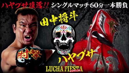 Masato Tanaka vs Hayabusa