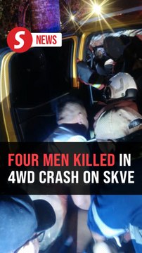 Four men killed when four-wheel drive crashes into tree on SKVE