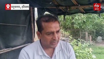 हथिनी कुंड बैराज के सभी फ्लड गेट खोले गए, 45 घंटे बाद दिल्ली पहुंचेगा पानी, बाढ़ का हाई अलर्ट जारी